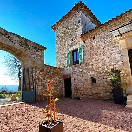 Domaine De Lejos - Portes D'Albi Lamillarié Esterno foto