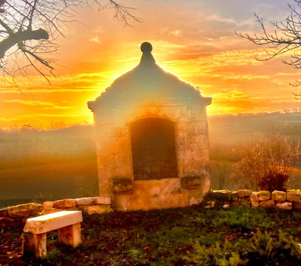 Domaine De Lejos - Portes D'Albi Lamillarié Esterno foto