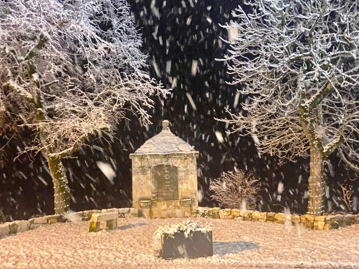 Domaine De Lejos - Portes D'Albi Lamillarié Esterno foto