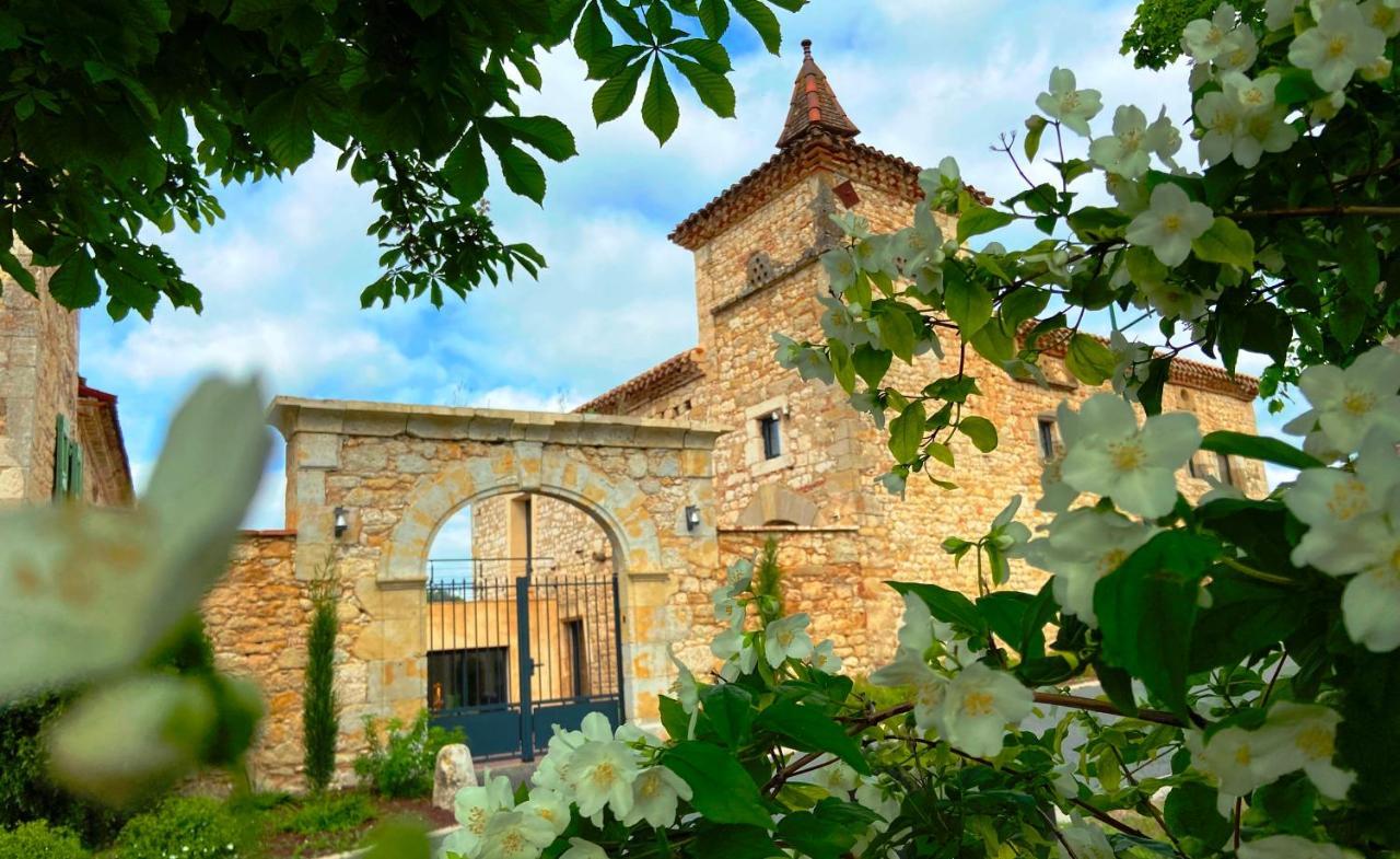 Domaine De Lejos - Portes D'Albi Lamillarié Esterno foto